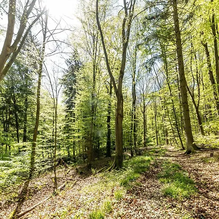 Amselstraße Apartment